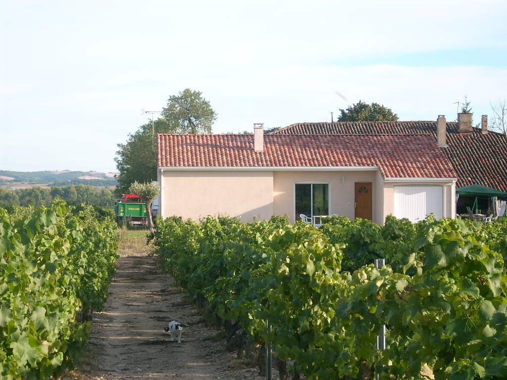 petite location au coeur des vignes...